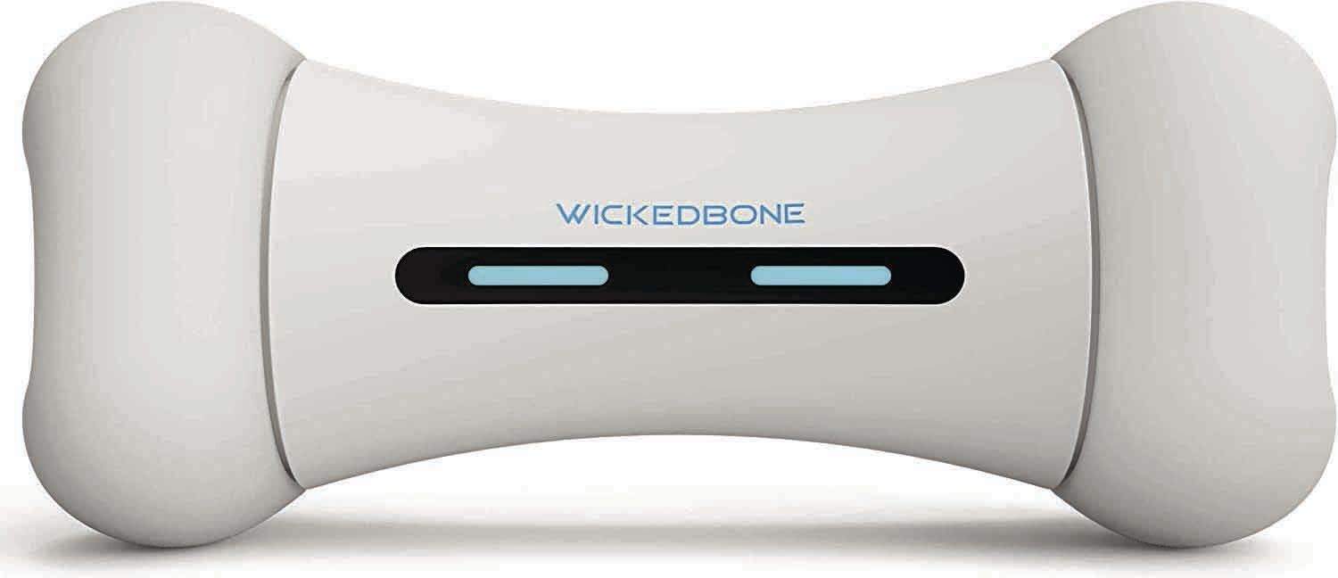 _Wickedbone_CMYK.jpg